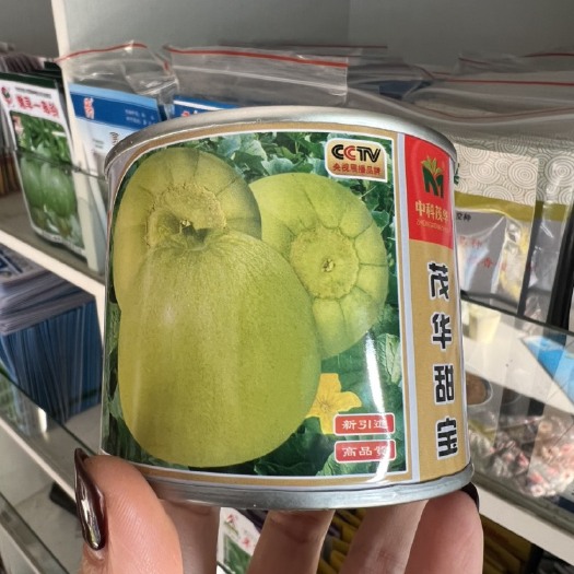 华容县茂华甜宝甜瓜种子薄皮香瓜种籽果肉厚不易裂果超甜瓜果蔬菜种