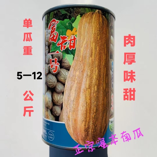 沭阳县富甜一号蜜本南瓜种子新品种甜糯大果丰产正品蜜本南瓜种子