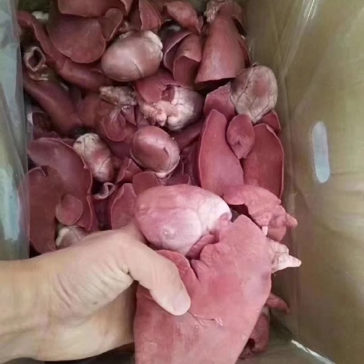 中牟县全熟羊心肺！精修去油！适合羊汤馆！
