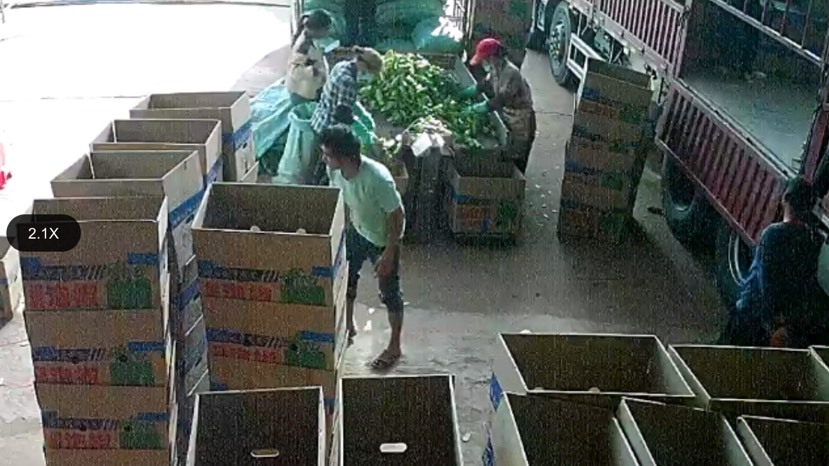 雷州市雷州市英利镇辣椒代购中心 螺丝椒 陇椒 尖椒 线椒 泡王等等