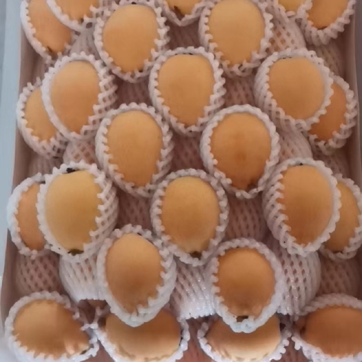蒙自市枇杷