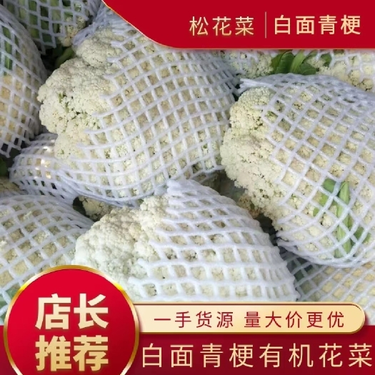 弥勒市松花菜/云南省优质白面青梗有机花菜/基地种植面积大/质量优