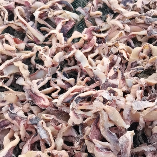 连云港鱿鱼干边角料 带皮鱿鱼肉 鱿鱼条 可以水发食堂饭店直接炒菜
