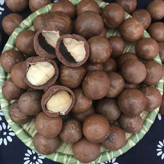 凤庆县澳洲坚果