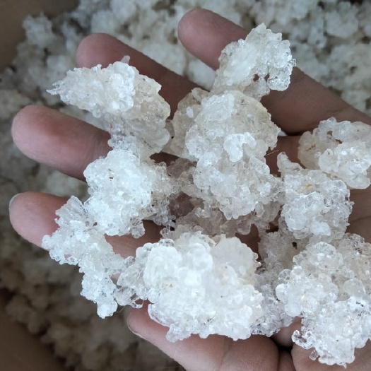 瑞丽市爆米花雪燕，可代发