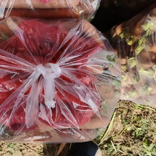 沙地三红红萝卜,全苗,半苗,北京包,电商,市场,工厂,养殖场