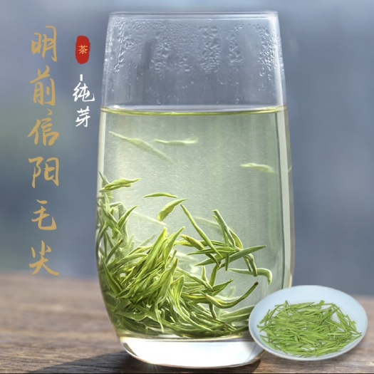 南阳绿茶毛尖信阳毛尖车云山明前头茬毛尖