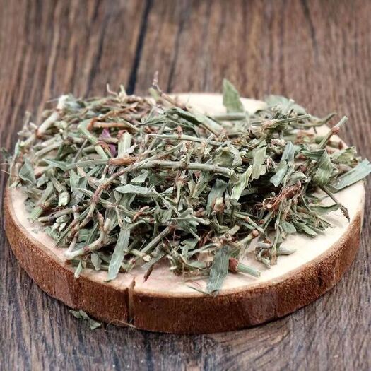 长沙萹蓄新采中药材萹蓄草扁蓄草天然扁竹竹节草猪牙草蚂蚁草道