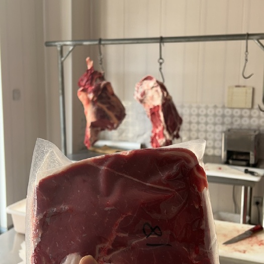 西吉县固原黄牛肉，600-700斤小黄牛，当地土黄牛