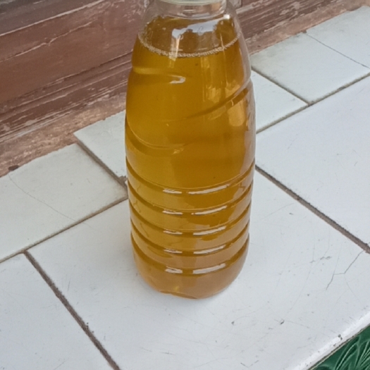 衡东县老树小籽茶油