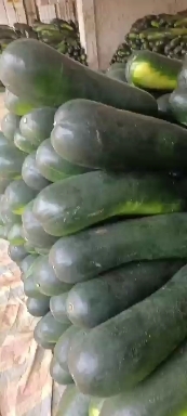 嘉鱼县黑皮冬瓜大量现货