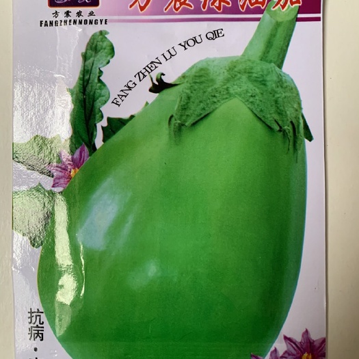 长沙特大紫罐茄种子春早茄子种籽牛心紫黑罐茄露地春季四季播蔬菜种孑