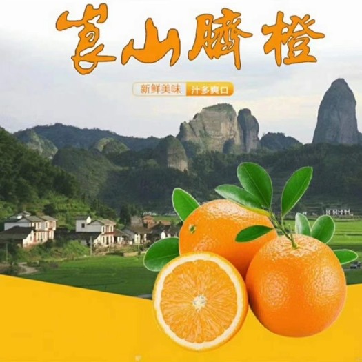 新宁县湖南崀山脐橙