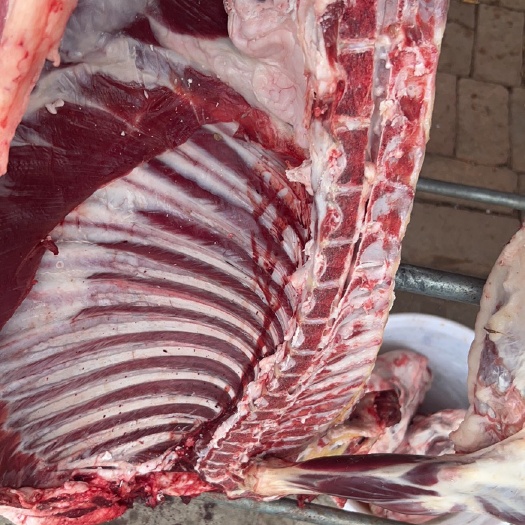 简阳市新鲜生羊肉