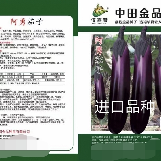 阿勇茄子紫红长茄子种子品种结果多不退色亩产2万斤