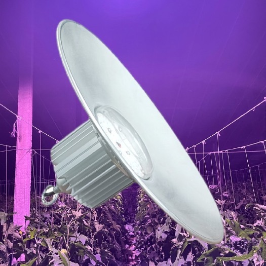 东营50w植物灯 蔬菜生长灯 仿太阳光 提前上市15天增产