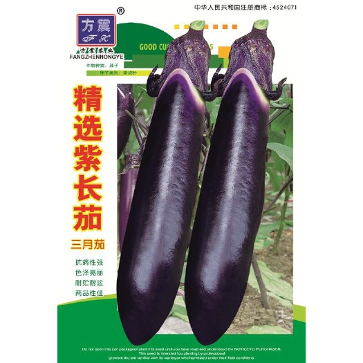 长沙寿光蔬菜种子日本黑贵人长茄种子线茄子种子露天大棚四季种植盆栽
