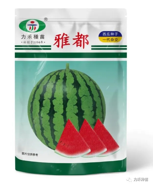 商丘美都西瓜种子 正品（力禾种苗）雅都改良品种瓤色更红品质更好抗