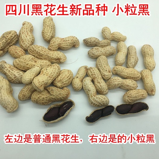 金堂县小粒黑花生  小黑皮花生 四川金堂发货2024年秋收新货