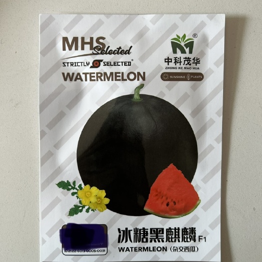 华容县冰糖黑麒麟西瓜种子黑皮无籽西瓜种籽甜早熟薄皮西瓜籽瓜种孑