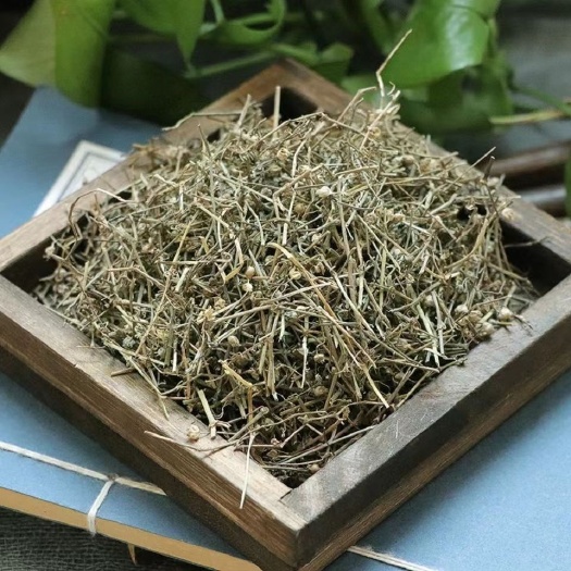 白花蛇舌草百花蛇舌草白花舌蛇草新货中草白花蛇舌草
