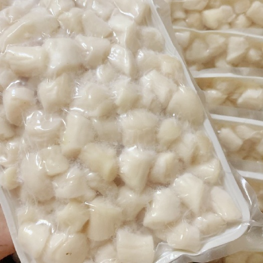 秦皇岛生鲜冷冻扇贝柱