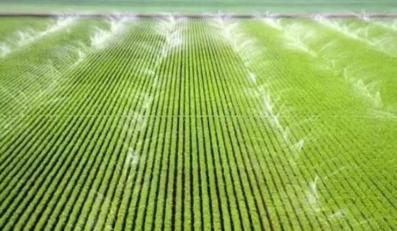 成都种植园的智能灌溉设计&施工服务 （四川省）