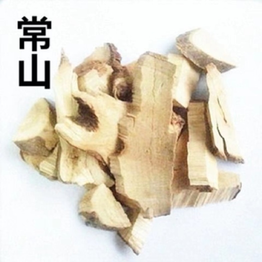 常山鸡骨常山土常山地道产地