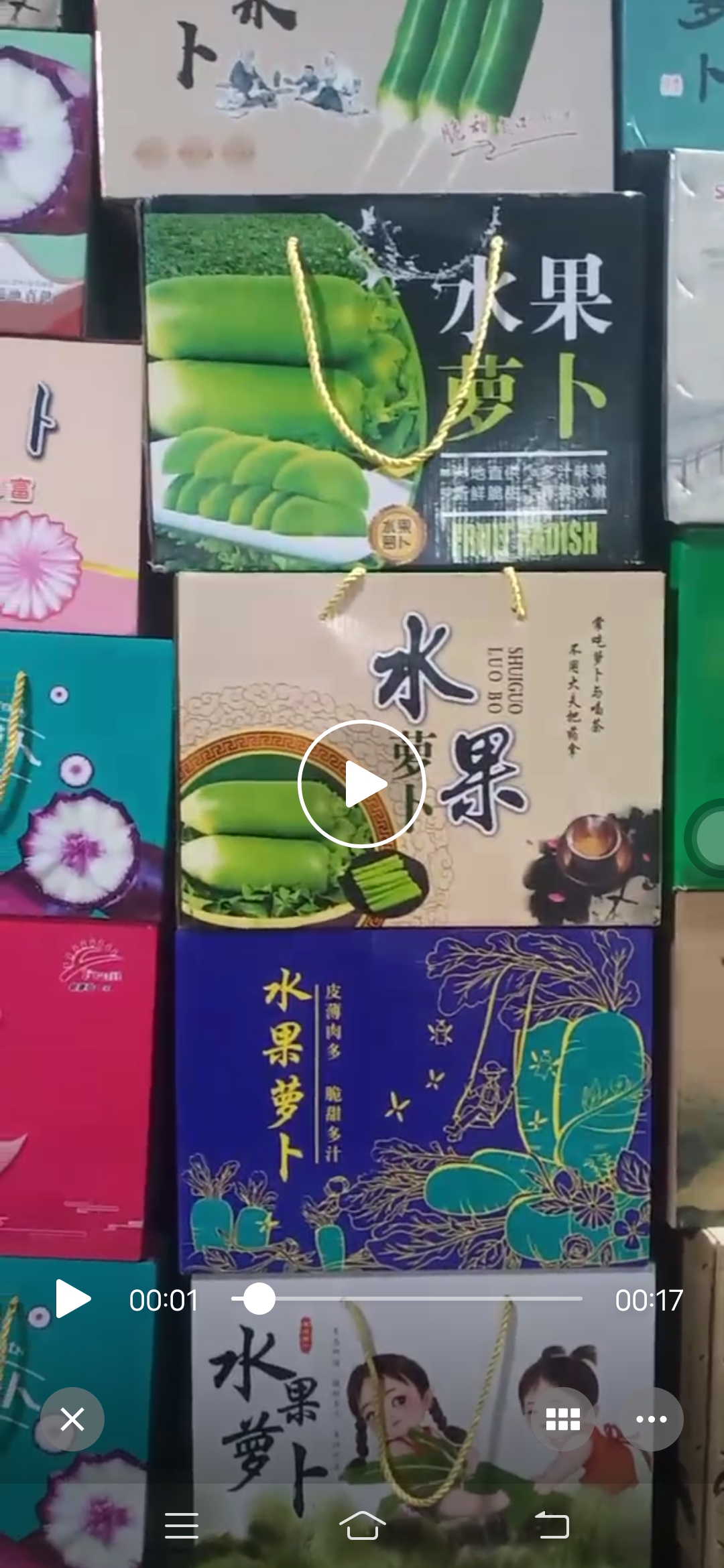 潍县水果萝卜，冰激凌萝卜