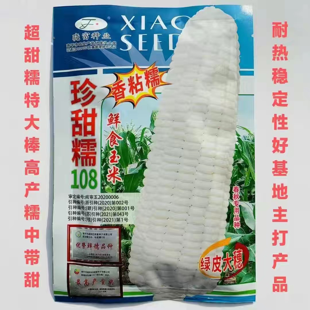 沭阳县玉米种子珍甜糯108玉米甜糯大棒高产基地主打产品糯中带甜玉米