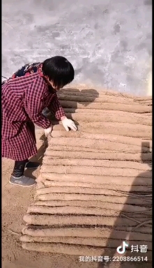 虞城县优质沙土地九斤黄山药