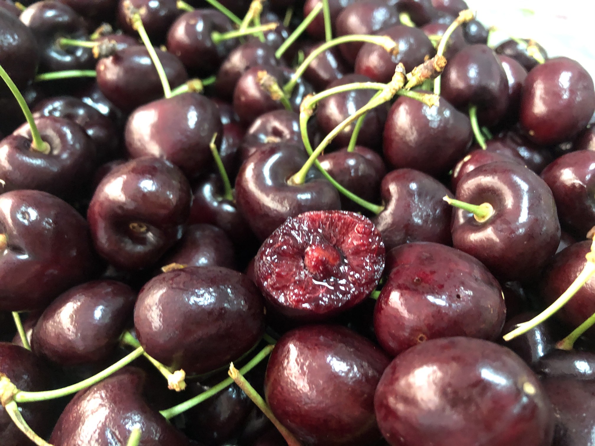 一件代发货肉厚核小爽脆爆桨甜蜜多汁智利进囗车厘子包邮包售后