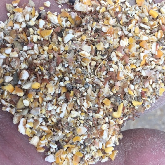 咸阳碎玉米，玉米渣。
