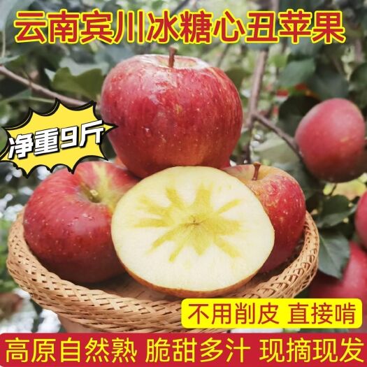 宾川县云南高山丑苹果冰糖心产地直销便宜新鲜现摘当季孕妇水果