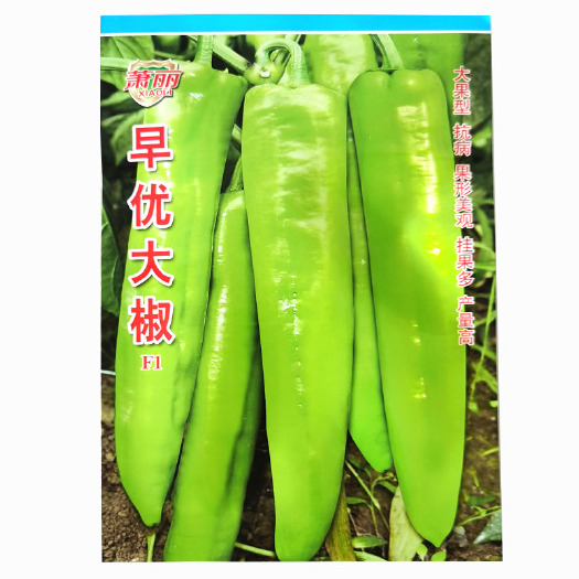 济南大果尖椒种子 牛角椒青黄皮耐热抗病羊角椒早熟瓜果多产量高