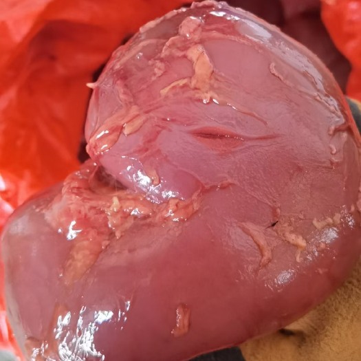 郑州驴腰子 河南现宰鲜冻驴肾精修无油 货源充足 价格合适量大优惠