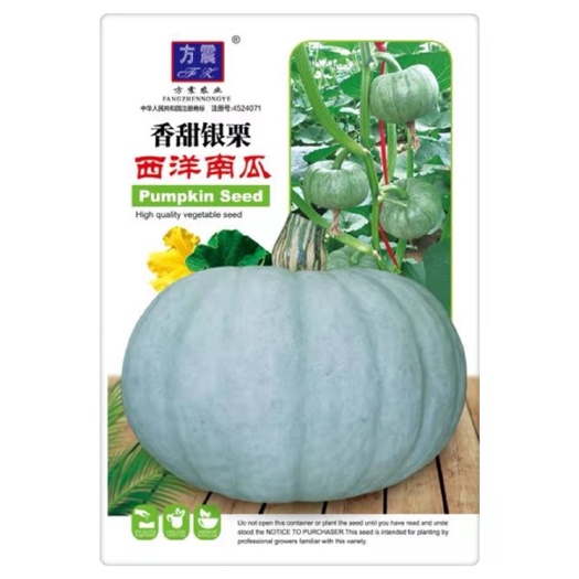 长沙银栗南瓜种子新疆白皮银栗南瓜种籽板栗味香甜粉糯蔬菜四季包邮