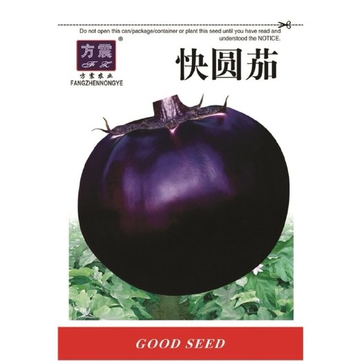 长沙紫黑快圆茄种子特大圆茄籽庭院大田盆栽阳台春秋播茄子蔬菜种籽