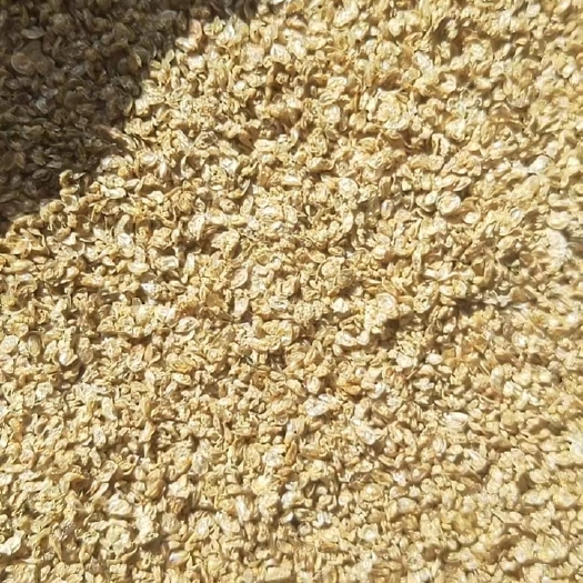 大庆鱼虫水蚤粉水产饲料