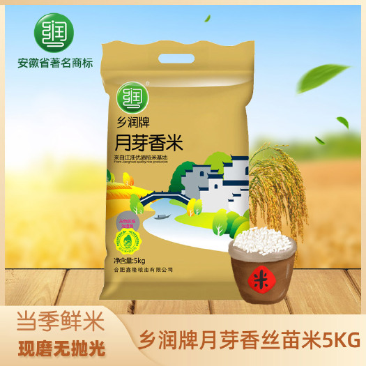 合肥新米包邮安徽大米10斤乡润月芽香丝苗米籼米长粒5kg