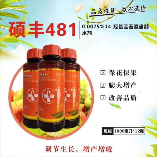 南宁481硕丰14-羟基芸苔素内酯甾醇解药害花卉果蔬保花果调节剂