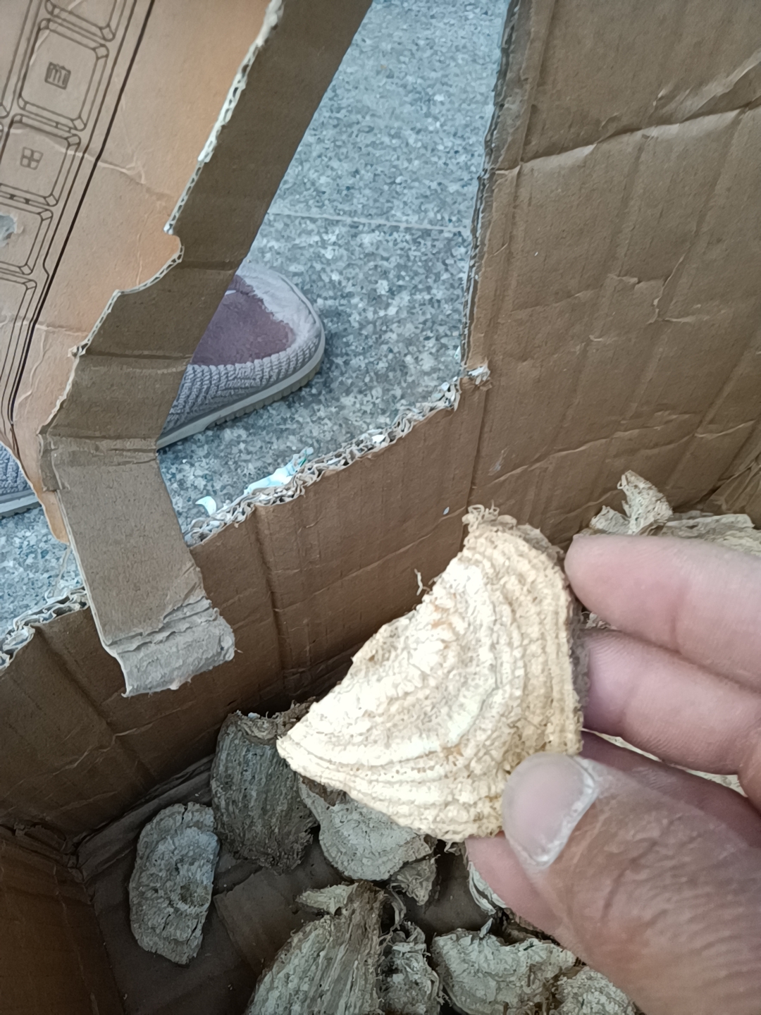 夏邑县无硫干葛根片，长寿之乡富硒农产品