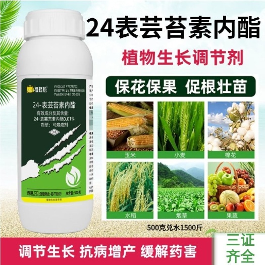 24表芸苔素内酯促根壮苗调节生长增产提质生长调节剂蔬菜农药