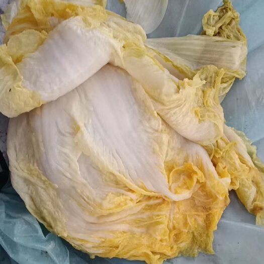 商都县腌白菜