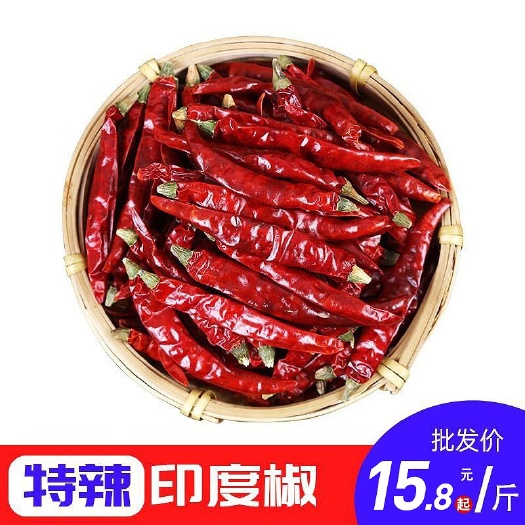 乐陵市超辣辣椒印度魔鬼辣椒变态辣香辣特辣干辣椒可磨粉面切辣段