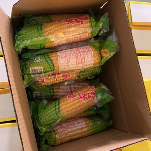 定襄县山西特产糯玉米