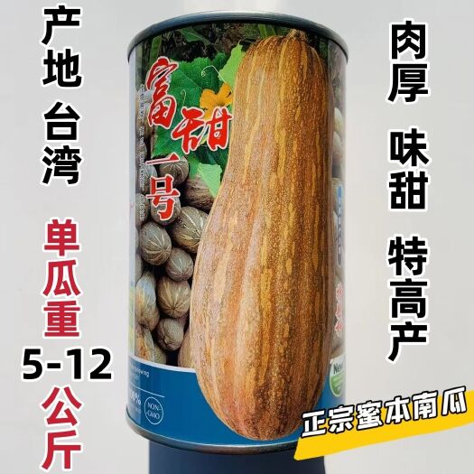 沭阳县富甜一号蜜本南瓜种子新品种特甜糯大号高蜜本南瓜种籽