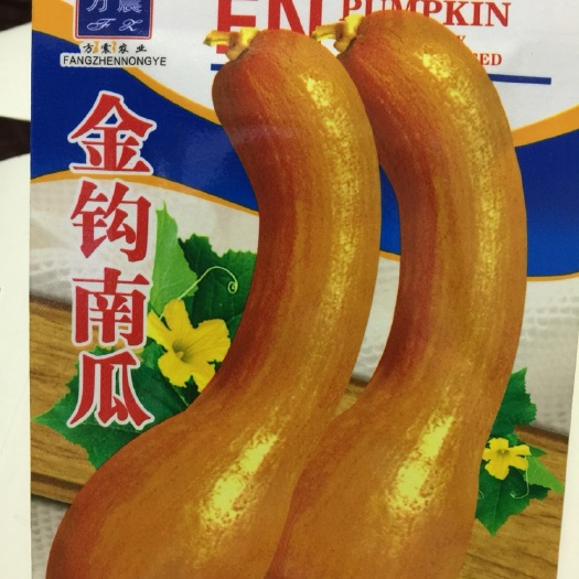 长沙金钩南瓜种子黄狼南瓜种子蔬菜南瓜种子超甜易发芽大田农园