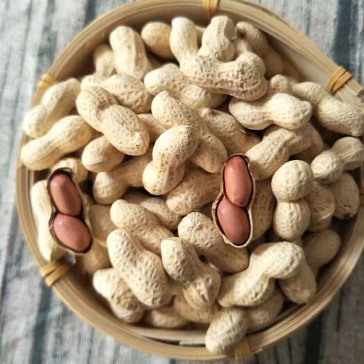 蒙城县生小日本花生果珍珠花生薄皮饱满花生果小炒锅年货
