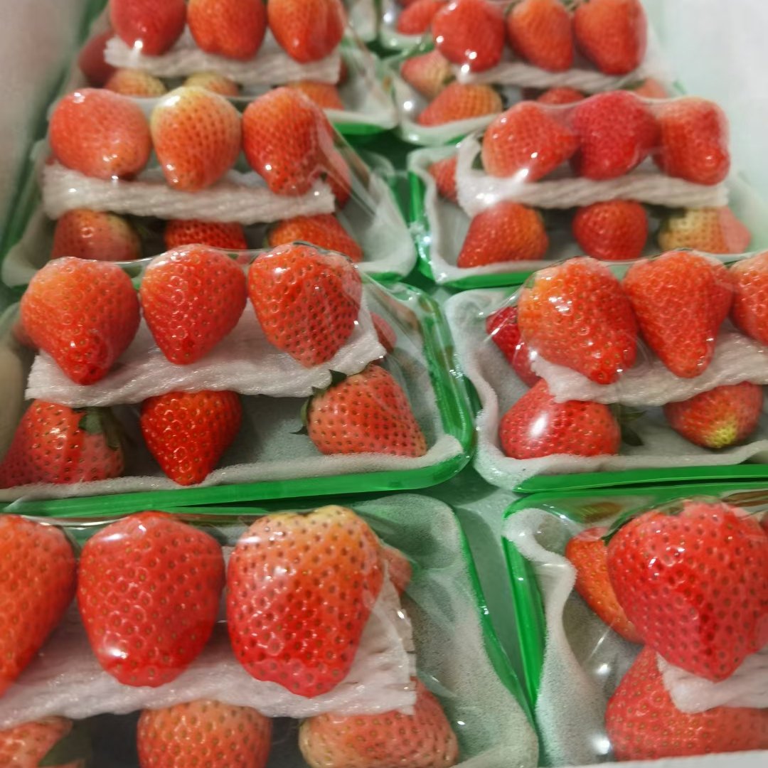 产地大量，价格不高